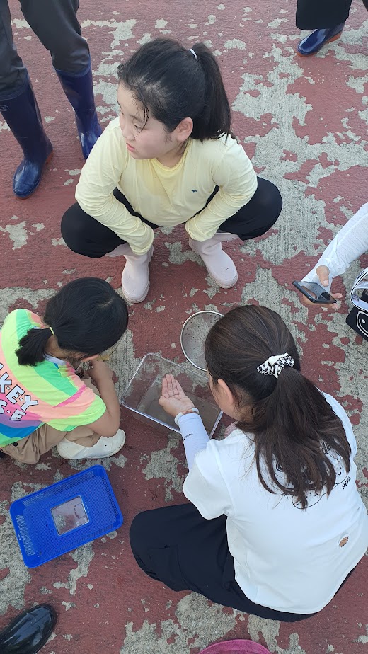 1bb3341b78bd58a74361869ecc9bda41_1787634250_98.jpg 1bb3341b78bd58a74361869ecc9bda41_1787634250_98.jpg
